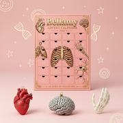 Anatomy Advent Calendar