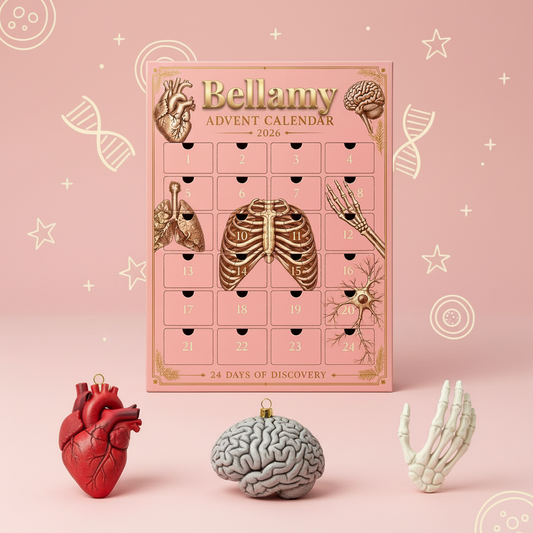 Anatomy Advent Calendar